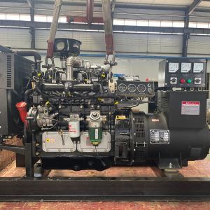 濰坊聯(lián)動(dòng)國三柴油發(fā)電機組50kw